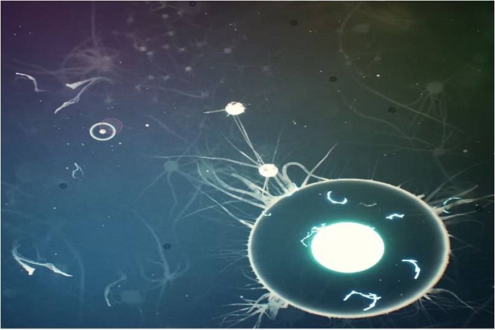 Ancestors : The Humankind Odyssey : L’évolution et l’énergie neuronale