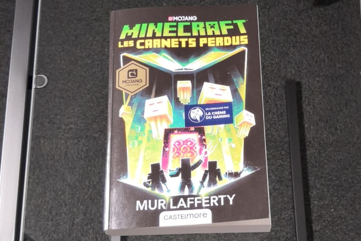 Minecraft : Les Carnets perdus, un roman officiel dans l’univers du jeu