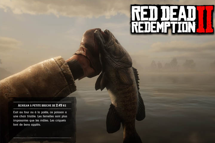 Red Dead Redemption 2 : Achigan à petite bouche, où pêcher le poisson légendaire ?