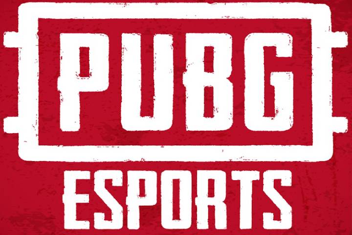 PUBG : PGS Berlin retardé par le Coronavirus