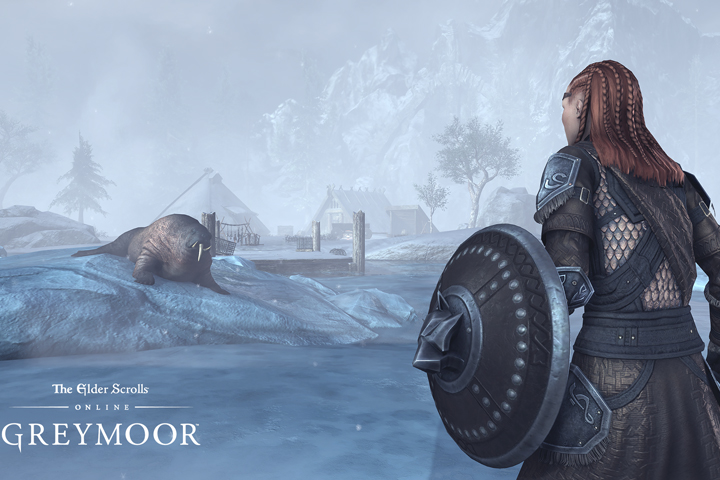 TESO : Skyrim, présentation de la zone de Greymoor