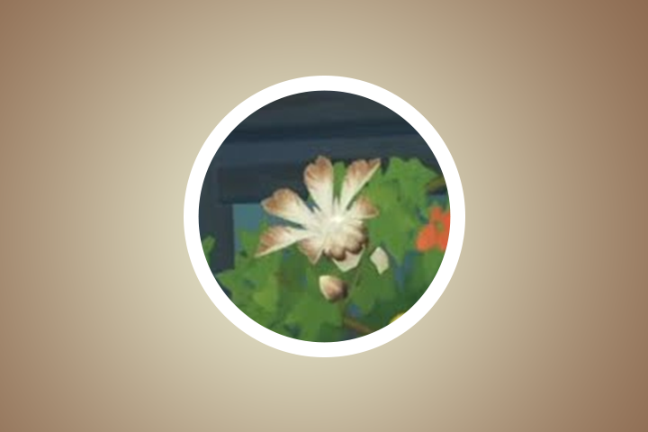 Champignons anémophiles localisation dans Genshin Impact, où les trouver ?