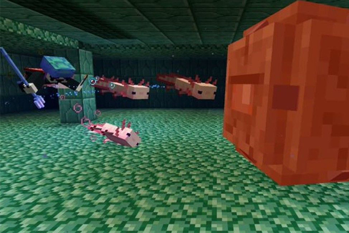 L’Axolotl dans Minecraft, les infos sur le mob de la 1.17