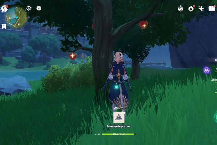 Pommes Genshin Impact, où en trouver ?