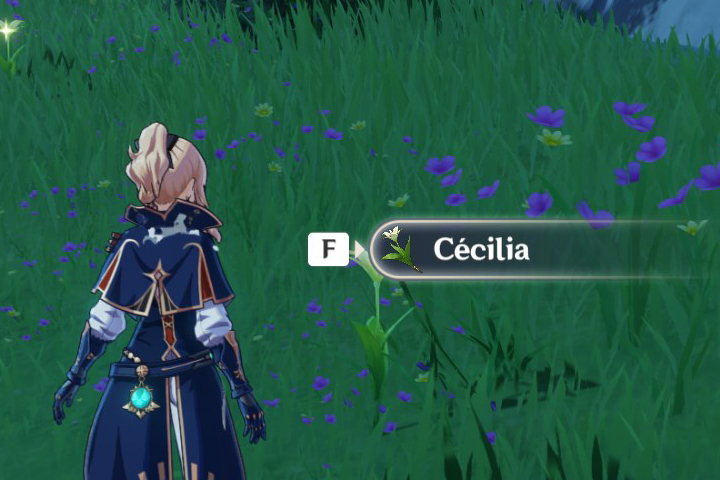 Cécilia Genshin Impact, où en trouver ?