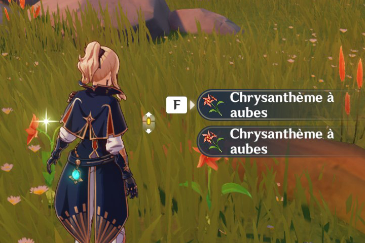 Chrysanthème à aubes Genshin Impact, où en trouver ?