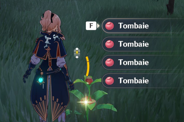 Tombaie Genshin Impact, où en trouver ?