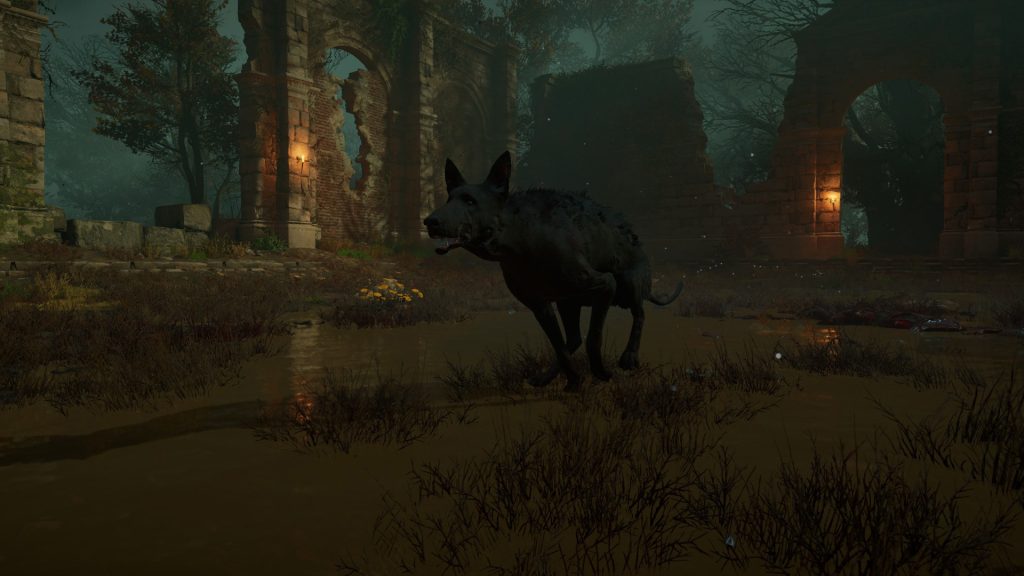 Dogue noir AC Valhalla, où trouver l’animal légendaire ?