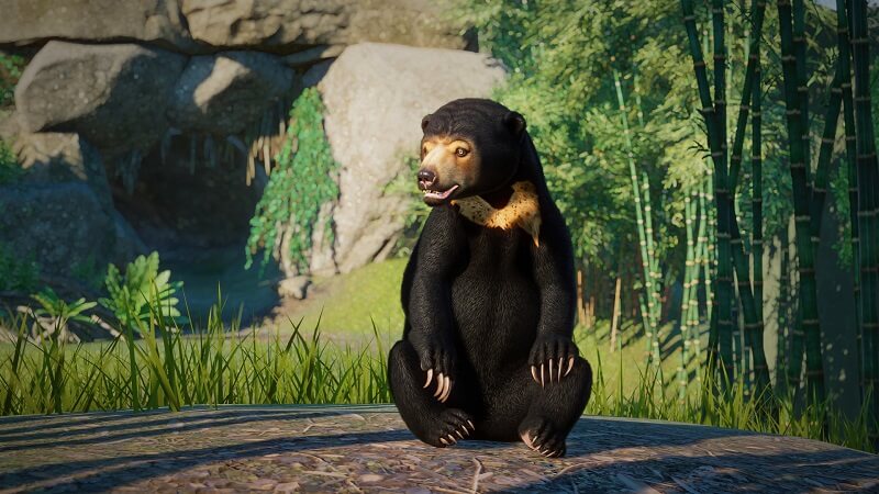 Planet Zoo : Pack Animaux d’Asie du Sud-Est