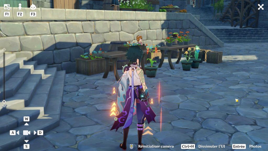 Flora Genshin Impact, comment la prendre en photo ?