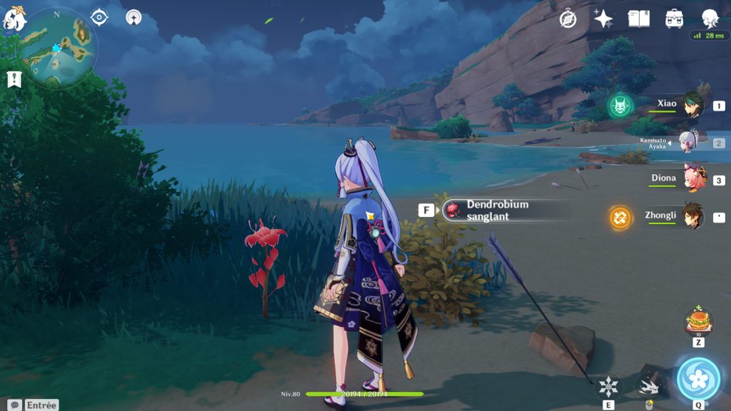 Dendrobium sanglant Genshin Impact, où en avoir ?