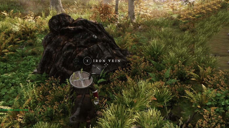 Minerai de fer dans New World, où en trouver ?