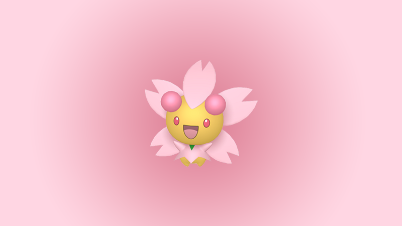 Où trouver Ceriflor dans Pokemon Arceus ?