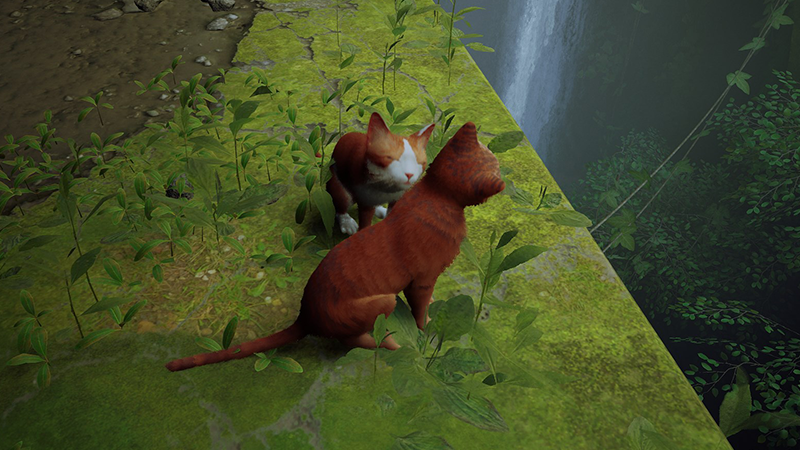 Badges Stray, comment tous les obtenir pour le trophée ?