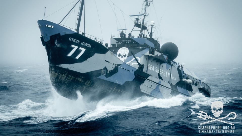 Sea Shepherd France ZEvent 2022, présentation de l’association