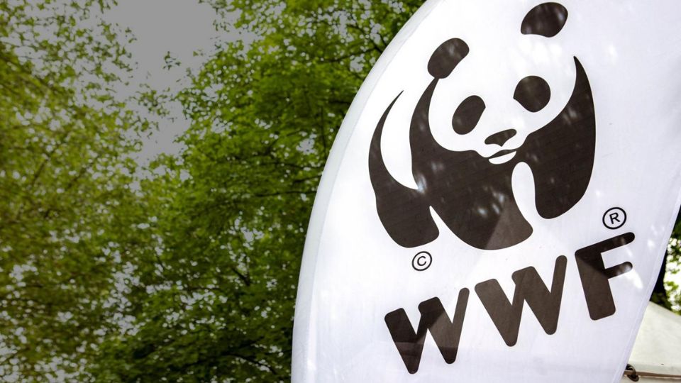 WWF France ZEvent 2022, présentation de l’association