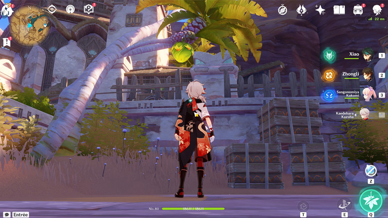 Noix d’ajilenakh Genshin Impact, où en trouver ?