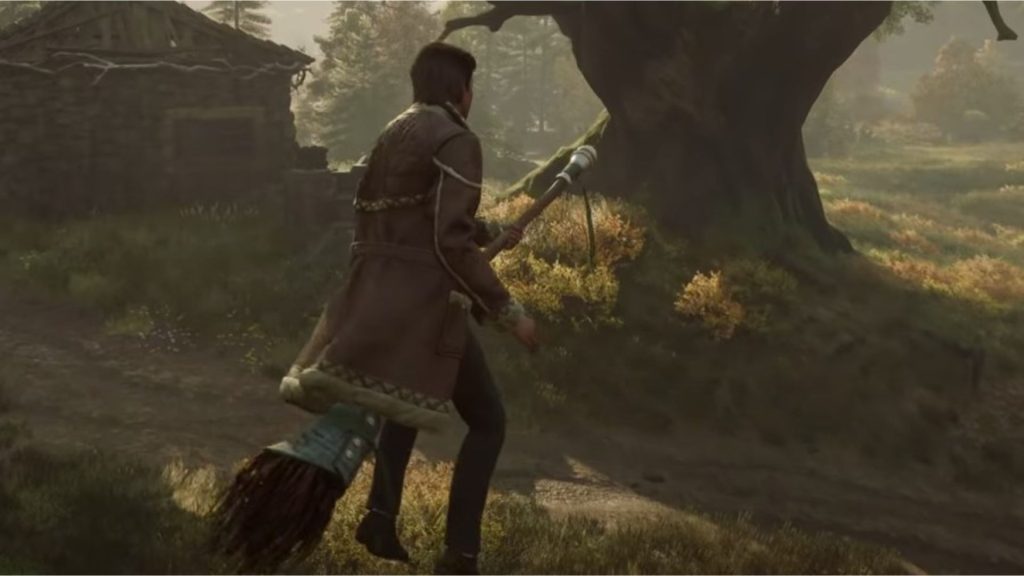 L’option à désactiver si vous avez la nausé sur Hogwarts Legacy !