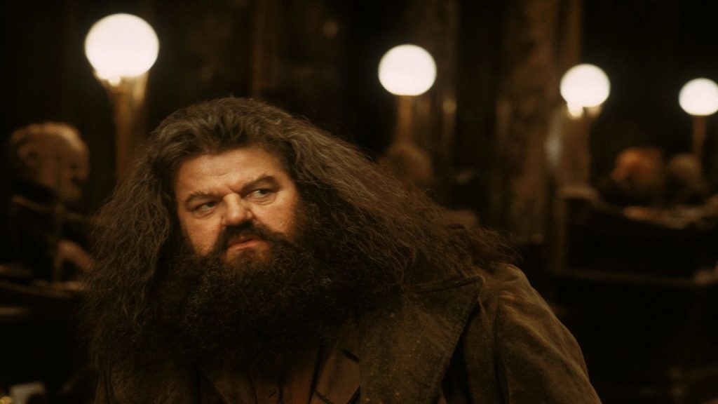 Hogwarts Legacy : Une tombe en hommage à l’acteur de Hagrid ajoutée au jeu