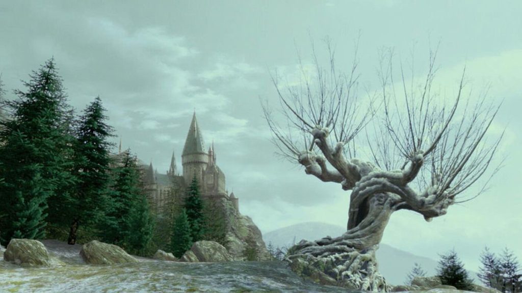 Saule cogneur Hogwarts Legacy, pourquoi l’arbre n’est pas présent ?