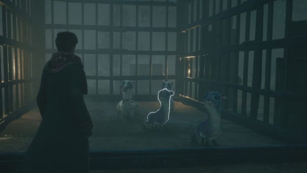 Sauver Biscuit Hogwarts Legacy, comment le capturer ?