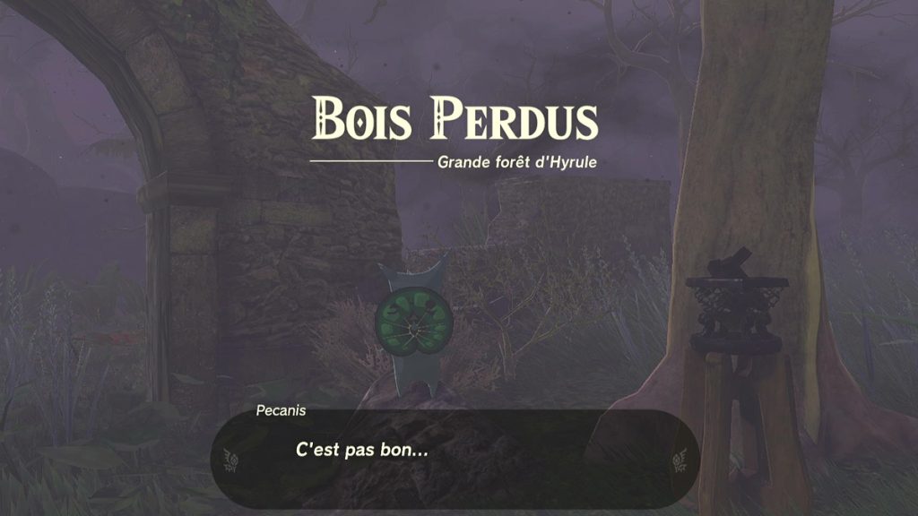 Zelda Tears of the Kingdom bois perdu, comment rejoindre la forêt Korogu et l’arbre Mojo ?