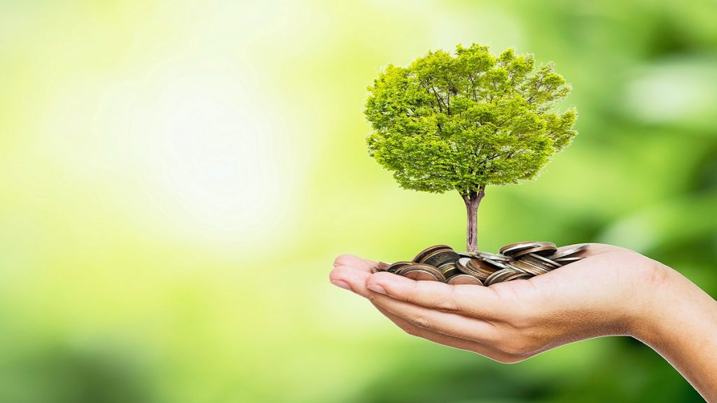 Inoxtag et Megothon s’engagent pour l’environnement et tenter de battre un record du monde !