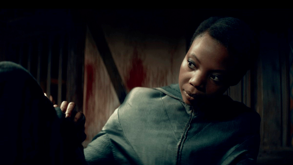 Fringilla The Witcher : Tout savoir sur le personnage et l’actrice Mimi Ndiweni