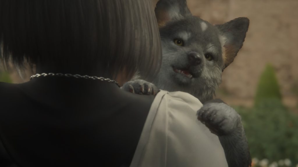 FF16 : Talgor, qui est Torgal dans Final Fantasy XVI ?