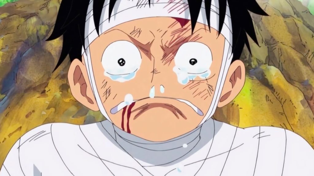 Pour la première fois, l’anime de One Piece prend une ENORME pause et reviendra en 2025 ! Toutes les infos