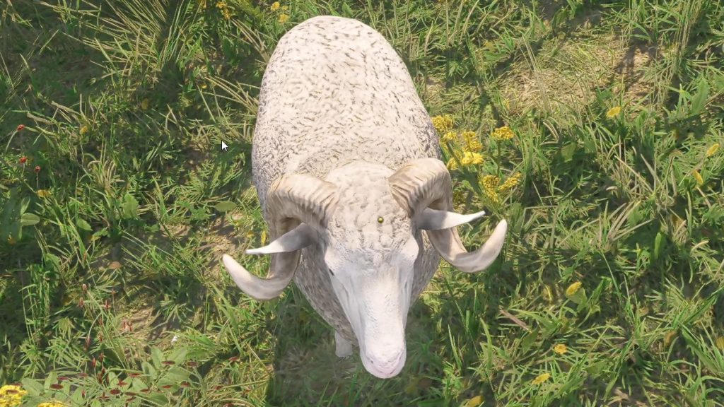 Kingdom Come Deliverance 2 Ignatius : comment sauver le mouton dans les quêtes KCD 2 ?