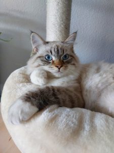 Photo de Quentin Debeauce