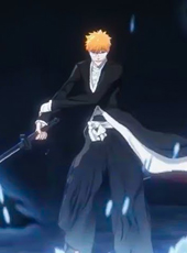Bleach Soul Resonance