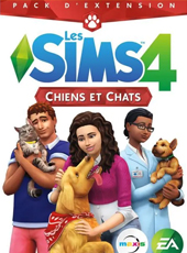 Illustration catégorie