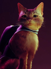 Illustration catégorie